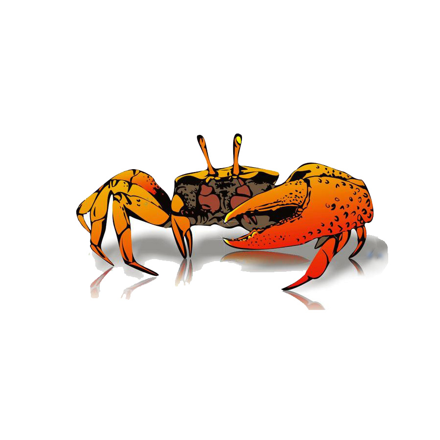 互聯(lián)網(wǎng)+養(yǎng)老產(chǎn)業(yè)，競網(wǎng)建站剝蟹有何招？
