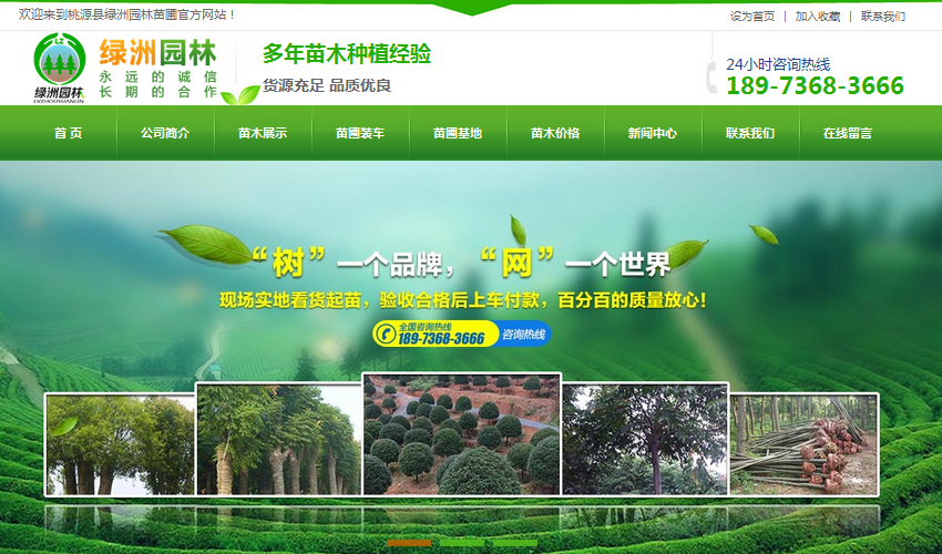 營(yíng)銷(xiāo)型網(wǎng)站成功案例——桃源縣綠洲園林苗圃