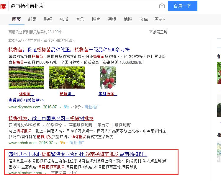 這樣做seo，靖州楊梅網(wǎng)站排名有盼頭