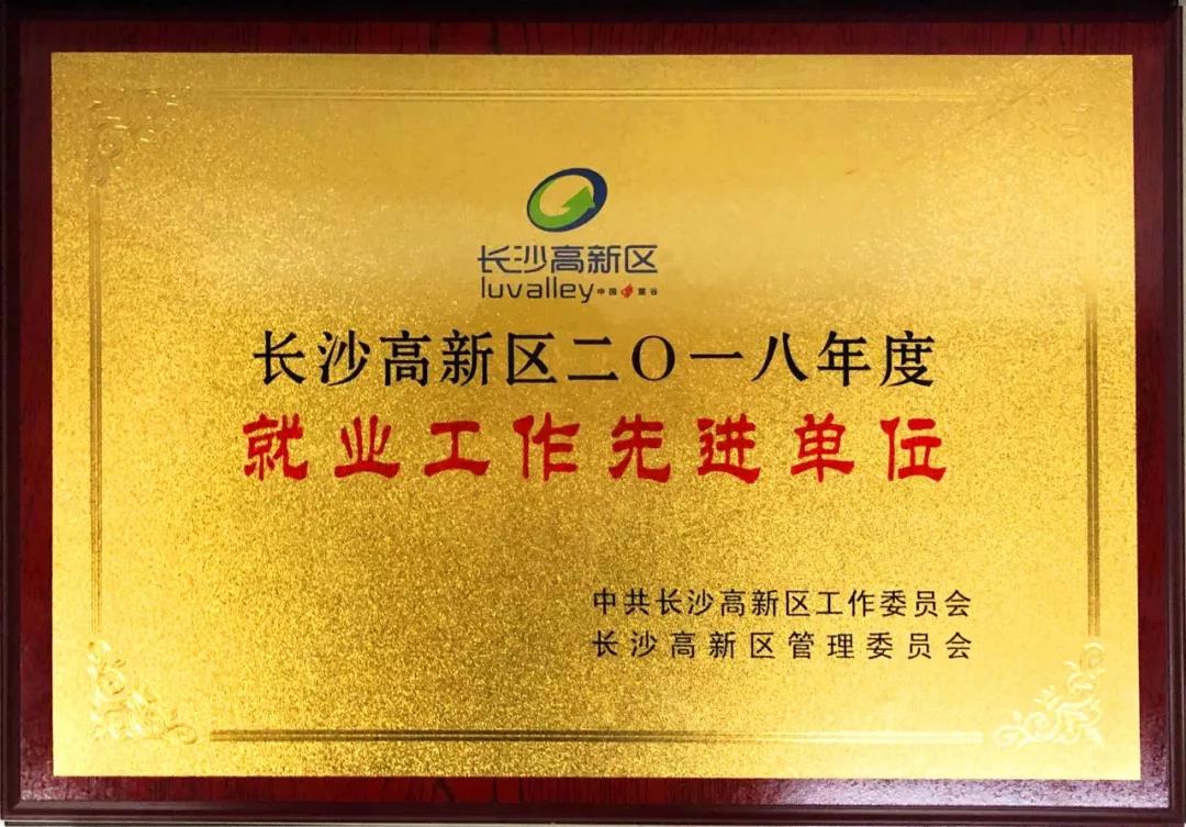 競網(wǎng)獲長沙高新區(qū)2018年度“就業(yè)工作先進(jìn)單位”稱號(hào)！